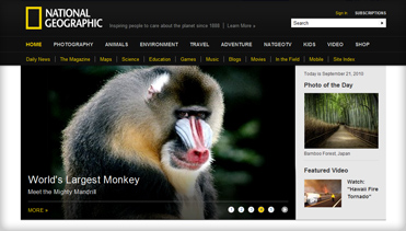 免费ddos在线攻击